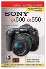 Magic Lantern Guides: Sony a500/a550