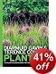 Planting