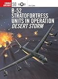 Lake, Jon: B-52 Stratofortress Units in Operation Desert Storm