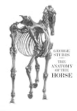 Stubbs, George: the Anatomy of the Horse: including a Particular Description of the bones, cartilages, muscles, fascias, Ligaments, Nerves, Arteries, Veins, and Glands Stubbs, George: the Anatomy of the Horse: including a Particular Description of the bones, cartilages, muscles, fascias, Ligaments, Nerves, Arteries, Veins, and Glands