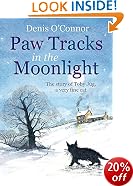 Paw Tracks in the Moonlight