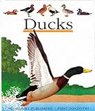 Galeron, Henri: Ducks
