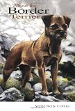 Collins, Verite R.: About the Border Terrier: AKC Rank #88