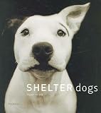Scott, Traer: Shelter Dogs Scott, Traer: Shelter Dogs