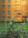 Hiller, Susan: Thinking of the Outside: New Art and the City of Bristol