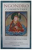 Tulku, Chagdud: Ngondro Commentary: Instructions for the Concise Preliminary Practices of the New Treasure of Dudjom Tulku, Chagdud: Ngondro Commentary: Instructions for the Concise Preliminary Practices of the New Treasure of Dudjom
