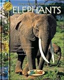 Wexo, John: Elephants
