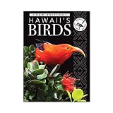Hawaii Audubon Society: Hawaii's Birds Hawaii Audubon Society: Hawaii's Birds