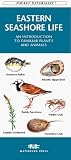 [???]: Eastern Seashore Life (Rhode Island to Georgia: An Introduction to Familiar Plants and Animals