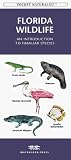 [???]: Florida Wildlife: An Introduction to Familiar Species
