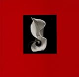 Gere, Richard: Kenro Izu : Still Life Gere, Richard: Kenro Izu : Still Life