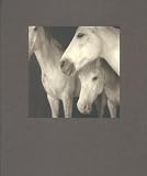 [???]: The Journal of Contemporary Photography: Culture & Criticism