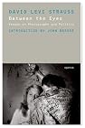 Between The Eyes: Essays On Photography And Politics