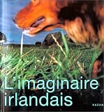 Musee D'Art Moderne De LA Ville De Paris: L'imaginaire Irlandais: 1996