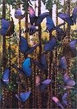 Musee D'Art Moderne De LA Ville De Paris: La Belle Et La Bete: Un Choix De Jeunes Artistes Americains  Doug Aitken .. [et Al]  6 Octobre-19 Novembre 1995, Musee D'art Moderne De La Ville De Paris