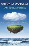 Antonio R. Damasio: Der Spinoza-Effekt.