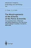 Funke, C.: The Morphogenesis of the Arteries of the Pelvic Extremity