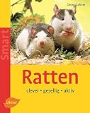 Georg Gassner: Ratten. smart Georg Gassner: Ratten. smart