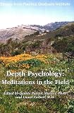 Corbett, Lionel: Depth Psychology: Meditations in the Field