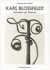 Blossfeldt, Karl: Karl Blossfeldt: Alphabet Der Pflanzen Blossfeldt, Karl: Karl Blossfeldt: Alphabet Der Pflanzen