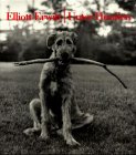 Unter Hunden by Elliott Erwitt