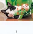 はっちゃんの明日元気になあれ