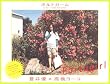 蒼井優ポストカード写真集 ポルトガール