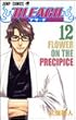 BLEACH (12) (ジャンプ・コミックス)