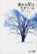 流れる星は生きている (中公文庫BIBLIO20世紀)