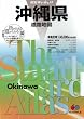 沖縄県道路地図 (県別マップル)