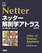 ネッター解剖学アトラス