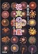 花火の図鑑