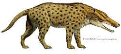 アンドリュウサルクス(頭胴長約 3〜3.5 m)