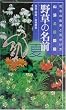 野草の名前 夏―和名の由来と見分けかた (山渓名前図鑑)
