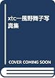 xtc―風野舞子写真集