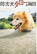 障害犬タローの毎日