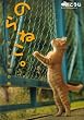 のらねこ。 -ちいさな命の物語-