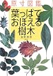 原寸図鑑 葉っぱでおぼえる樹木