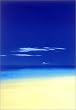 Barbuda Beach [PP-30300] [ポスター]