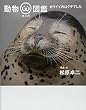 動物オメガ図鑑 カワイイのはクチでした