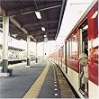 よつばとカレンダー 2008