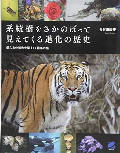 Amazon.co.jp