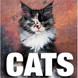 Manferto, Valeria: Cats Manferto, Valeria: Cats