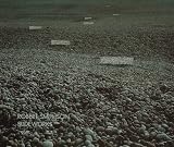 Goldberg, Vicki: Slideworks