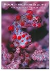 Realm of the Pygmy Seahorse: An Underwater Photography Adventure