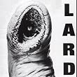 Power of Lard