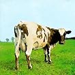 Atom Heart Mother