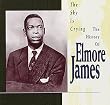 The Sky Is Crying : The History of Elmore James