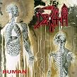 Human