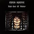 Fish out of Water